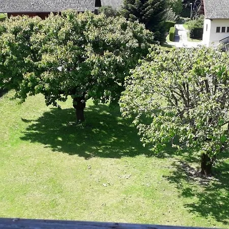 Apartamento Bel 63m2